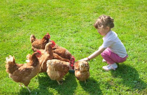 Get-Togethers with function room - Foto 33