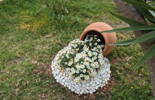 Buen Estar, piscina, barbacoa, jacuzzi en Valencia - Photo 26