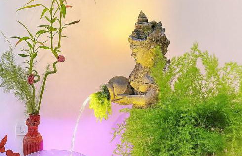 Jungle Spa - Cocon tropical et dépaysant avec balnéo en plein coeur de Pézenas ! - Foto 12