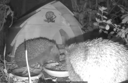 Large converted barn in peaceful, rural location - Foto 52