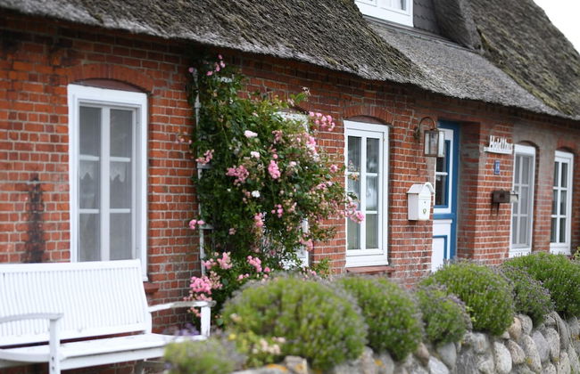 Ferienwohnung im Reetdachhaus auf der Pellworm - Foto 12