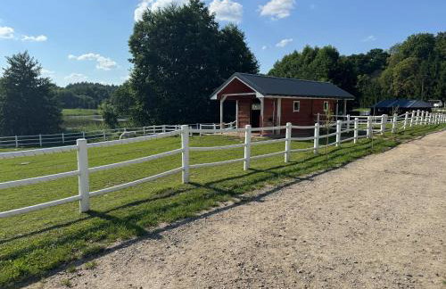 Agroturystyka Zielony Zakątek w Wiewiecku - Foto 52