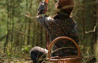 Krovacja - całoroczne domki w Puszczy Noteckiej - Foto 30