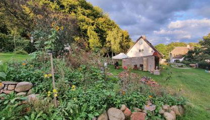 Ferienhaus Hermann, Nähe Binz in traumhafter Alleinlage - Foto 5, Garden
