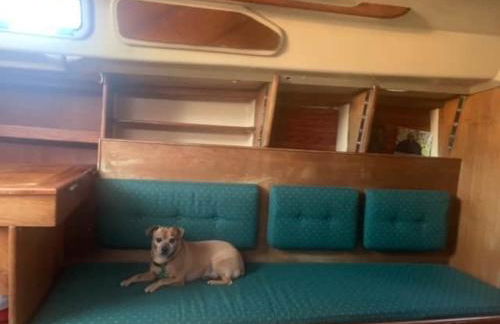 Sailboat Experience in Annapolis - Foto 7