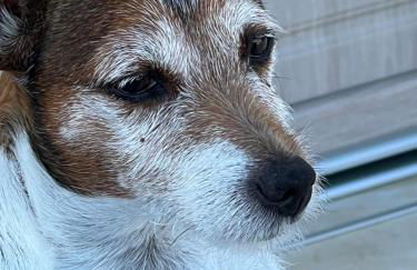 Masseria Ostuni Mare Agri Resort - Foto 79