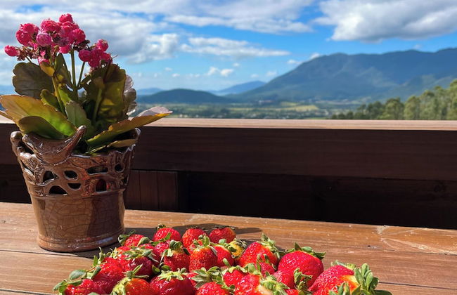 Chalé da Montanha com Ofurô - Sto Amaro - Foto 24