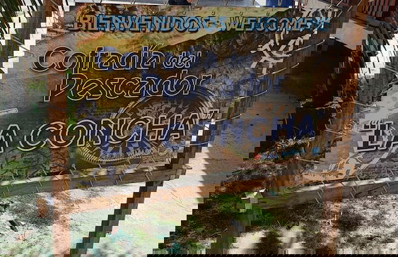 Aparthotel in Banes - Photo 16