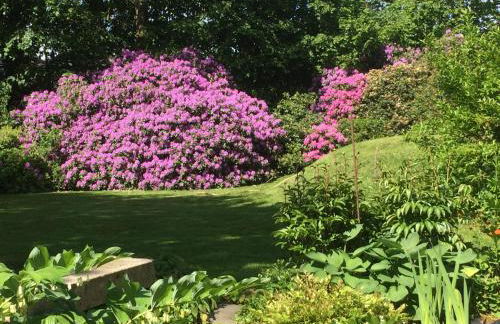 Villa Bergmann - Foto 27