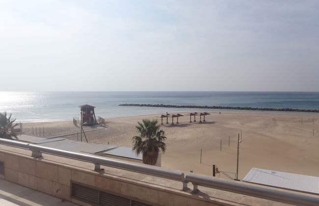 Almog Studio - Foto 13