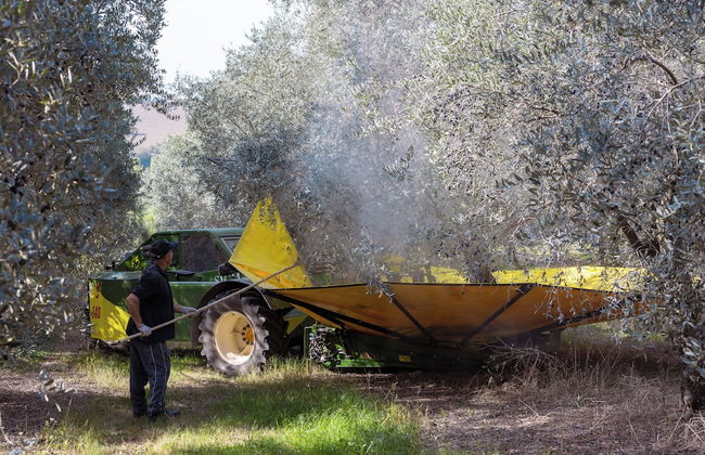 A3Passi Agriturismo tra gli Ulivi - Foto 75
