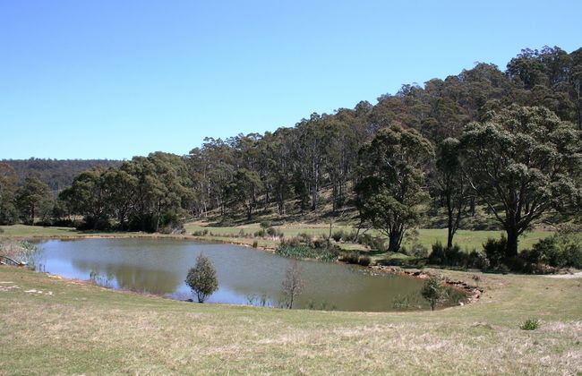 Craggy Peaks Wilderness Cabins - Foto 56