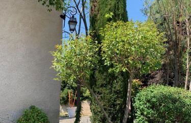 Le Mas de l'Orangerie 3 etoiles - Foto 61