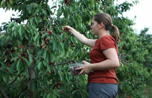 Ferienbauernhof Masunerhof - Foto 28
