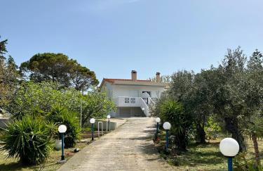 Alepochori Seaside Village - Foto 23