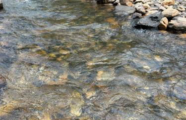 Livin on the Edge Cabin in Albert Pike, Beautiful! - Foto 14