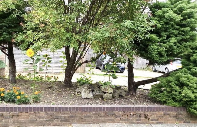 Grace Apartments - Living Stream 1 - Foto 29