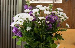 Agritur Casa Fabri - Foto 56