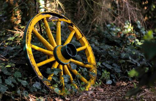 Ferienwohnung Schoon, 85042 - Foto 25