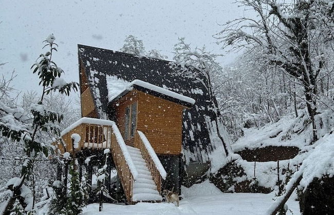 Thomas Hut - Foto 18