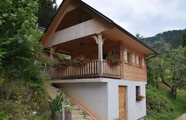 Shepperd Miha's House Private Ski Area - Foto 16