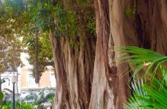 Alicante Hills Apartment Blue - Photo 42