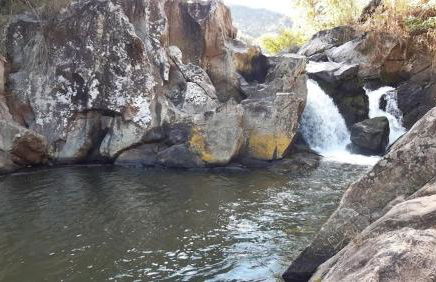 Kitnet Aurora - Foto 40