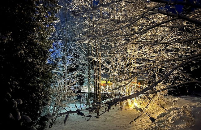 Hauser's Bayfield Cabin - Foto 60