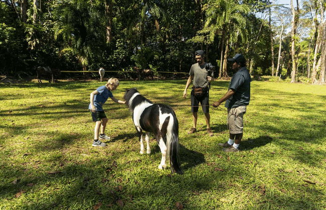 Quepos Food Tour & Cooking Class - Photo 5