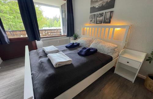 Ferienwohnung in Freudenstadt-Kniebis I, Schwarzwald - Foto 1