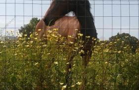 La Casita de Silvia - Photo 18