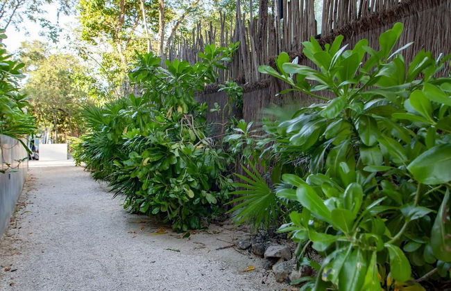 Kite Suite 207 - Foto 39