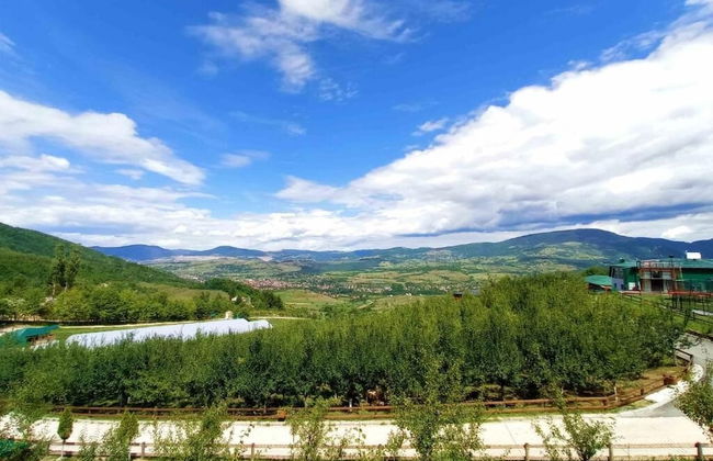 Malak Farma - Foto 41