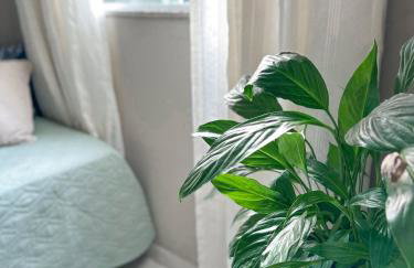 Hospedagem Zilz - Foto 20