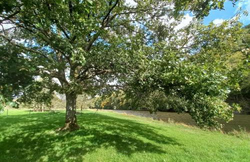 Le pecheur de la semoy - Foto 15