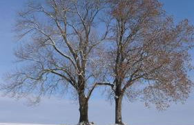 Ferienwohnung Wild - Foto 26