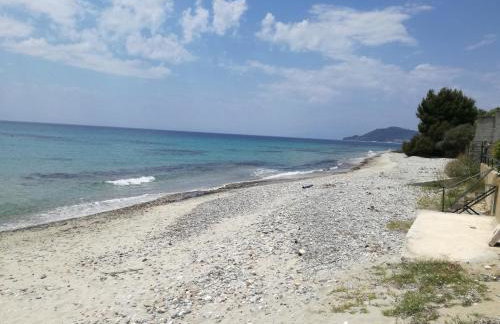 House Nativa - Foto 25