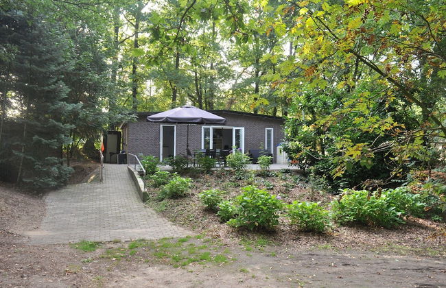 Cottage in Leenderstrijp Near Nature Reserve - Foto 1