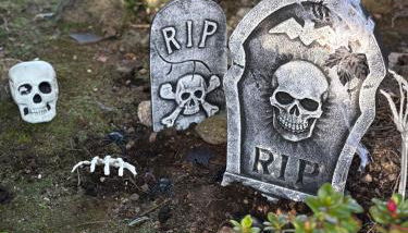 Casa da Lomba Piscina y vistas al mar en Baiona - Foto 2, Garden