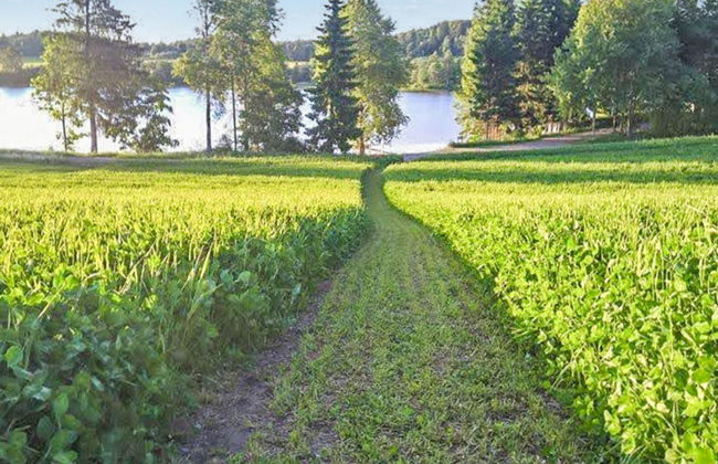 Isopehtoori - Foto 33