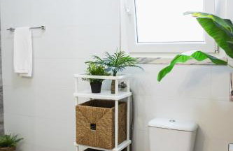 Chitaka's Organic Farmhouse in Ribatejo - Photo 43