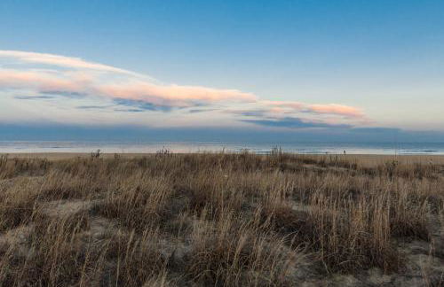 Dolphin Watch - Oceanfront - North End VB - Foto 34