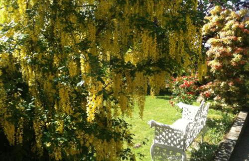 Charlemont House Moy Self Catering With Hot Tub Optional - Foto 10