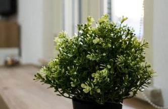 Guest House Marittima - Foto 35