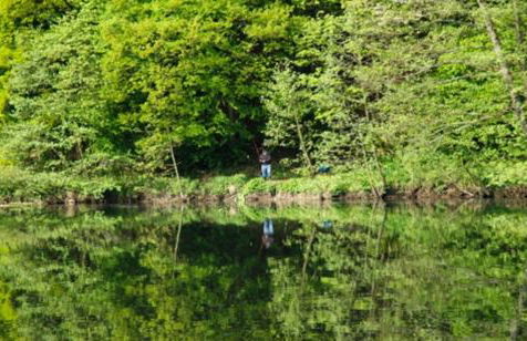 Ferienwohnung Doria - Foto 12
