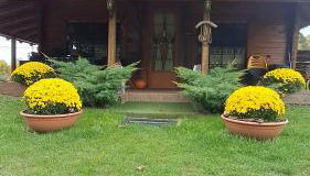 Woodhouse Xirolivado - Foto 2