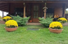 Woodhouse Xirolivado - Photo 2