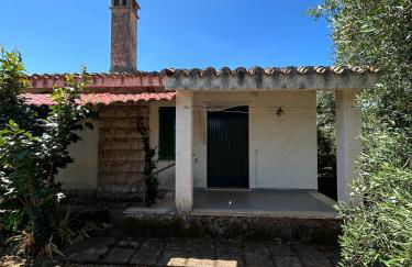 Domo Austinu - Abbasanta - Foto 20