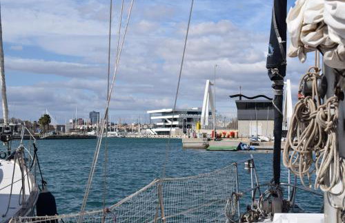 Velero en Puerto Valencia Mar -E&M Boats - Foto 10