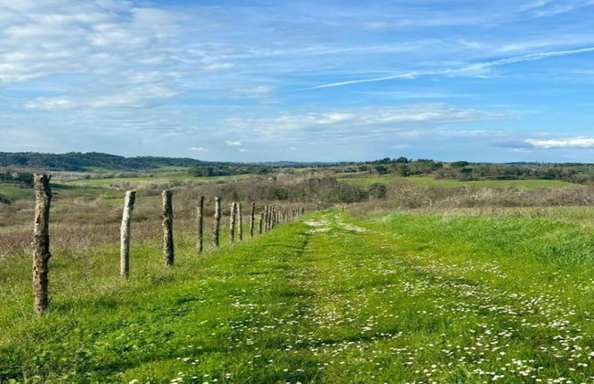 Peccioli Villa Retreat - Foto 36